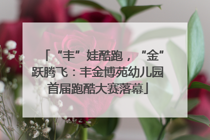 “丰”娃酷跑，“金”跃腾飞：丰金博苑幼儿园首届跑酷大赛落幕